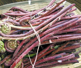 永興潤橙惠農(nóng)產(chǎn)品經(jīng)營部 優(yōu)質(zhì)食用農(nóng)產(chǎn)品批發(fā)與供應(yīng)的優(yōu)選合作伙伴