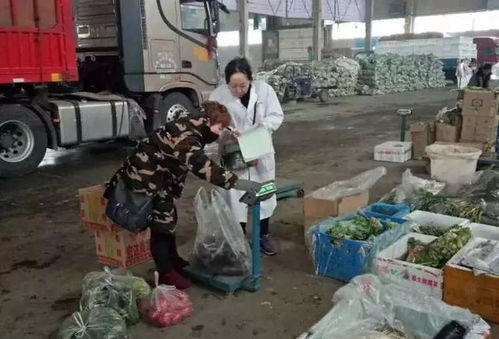 州農(nóng)產(chǎn)品檢驗(yàn)檢測(cè)中心加大檢測(cè)力度 確保春節(jié)期間食用農(nóng)產(chǎn)品質(zhì)量安全