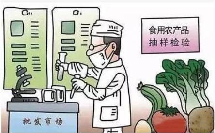 守護(hù)舌尖上的安全——加強(qiáng)食用農(nóng)產(chǎn)品批發(fā)環(huán)節(jié)安全監(jiān)管