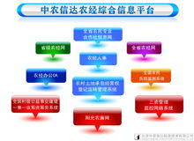 農(nóng)村經(jīng)濟管理軟件系列產(chǎn)品展示 北京中農(nóng)信達信息技術(shù)引領(lǐng)智慧鄉(xiāng)村新篇章